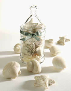 Seashell Soaps in Jar - Made by Gianna Rose