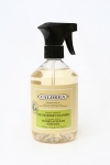 Ginger Pomello Counter Cleanser - Made by Caldrea