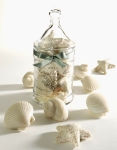 Seashell Soaps in Jar - Made by Gianna Rose